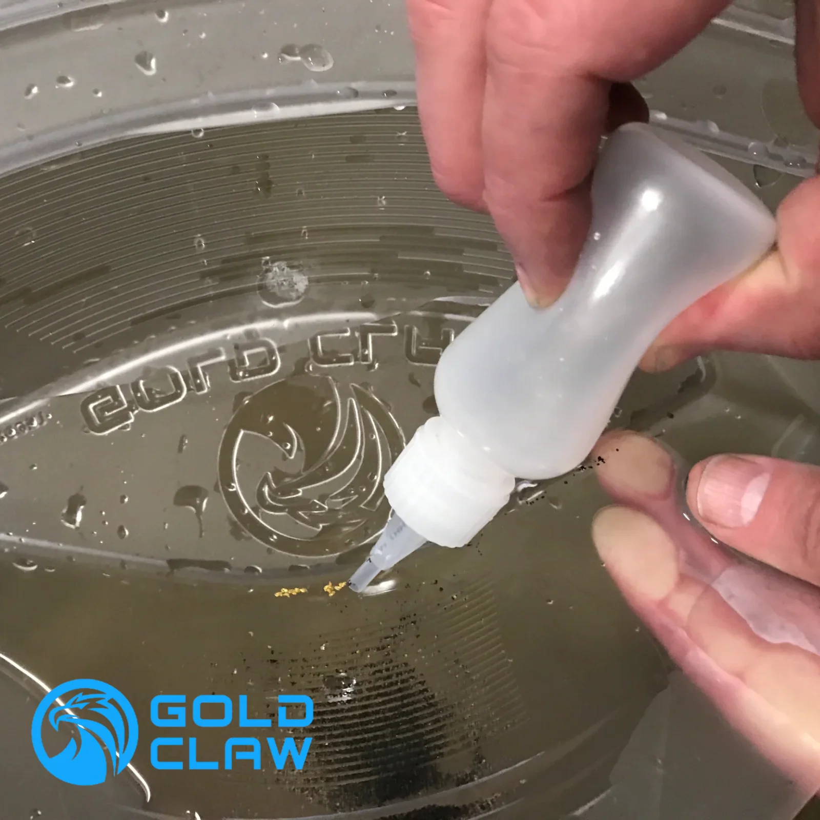 GOLD CLAW CLASSIC PAN - Image 4