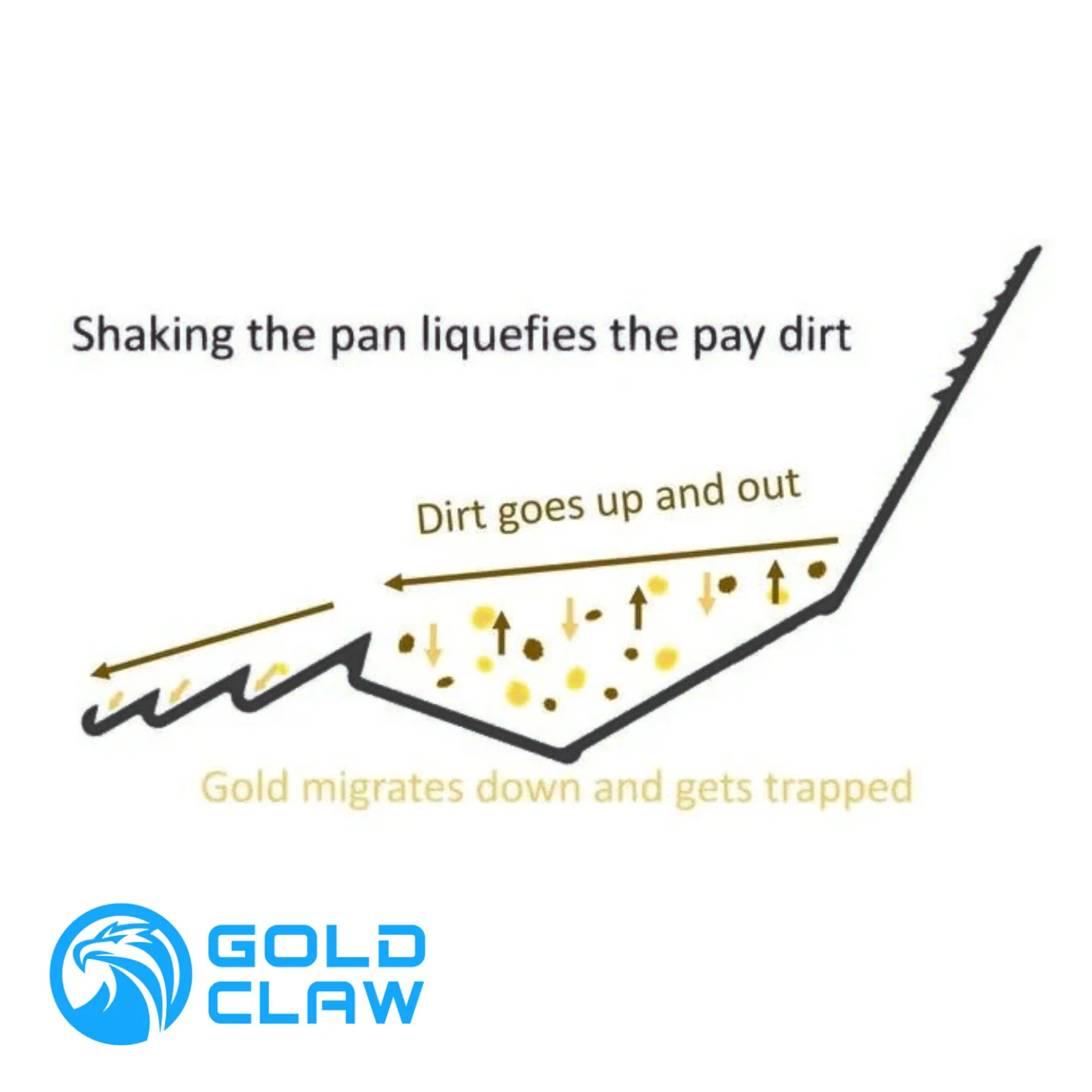 GOLD CLAW CLASSIC PAN - Image 7