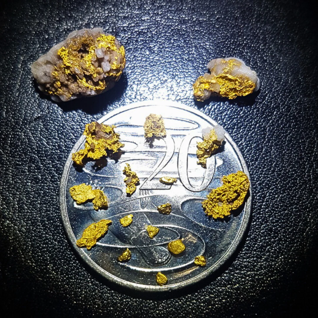 GOLD KRUZER - Image 3