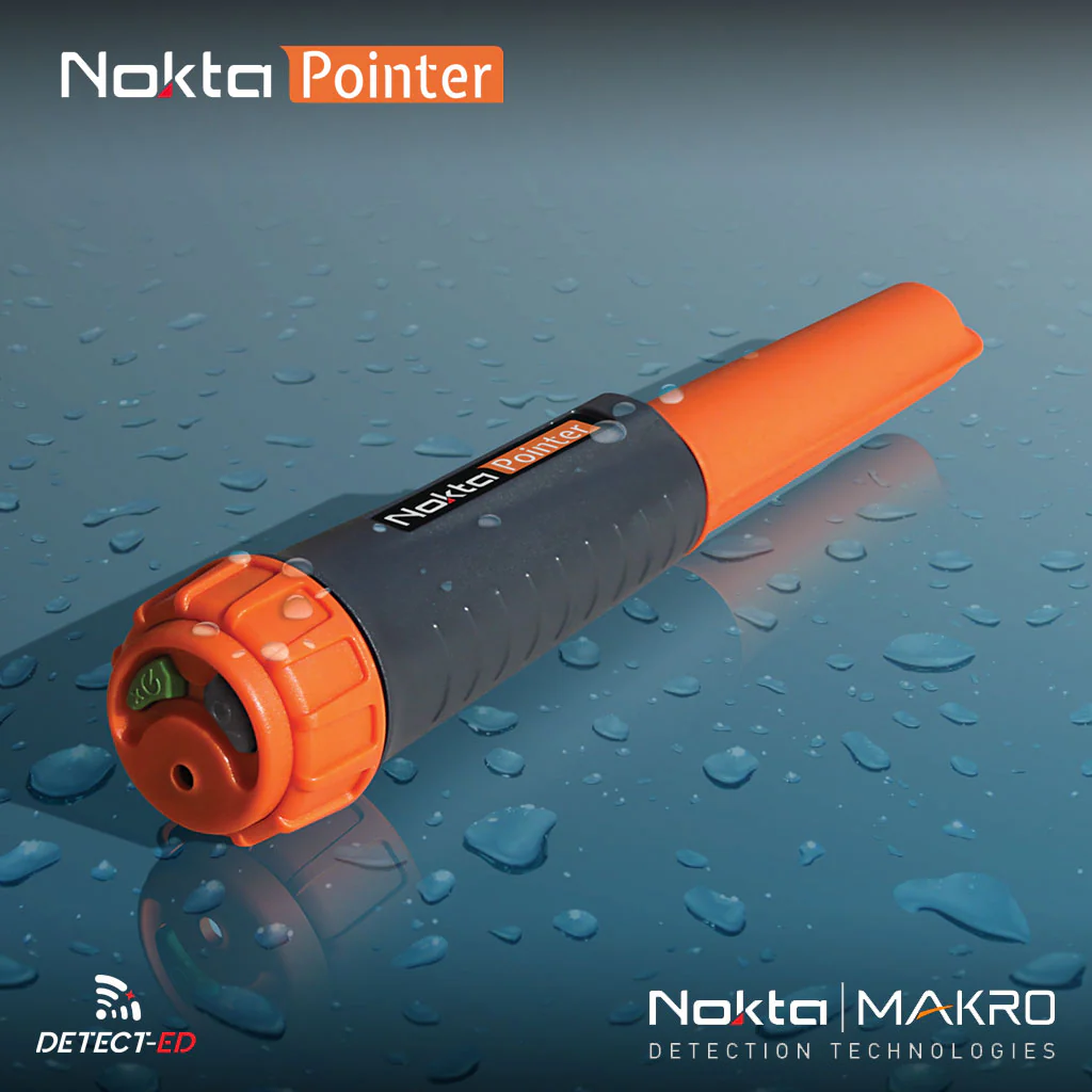NOKTA POINTER - Image 5