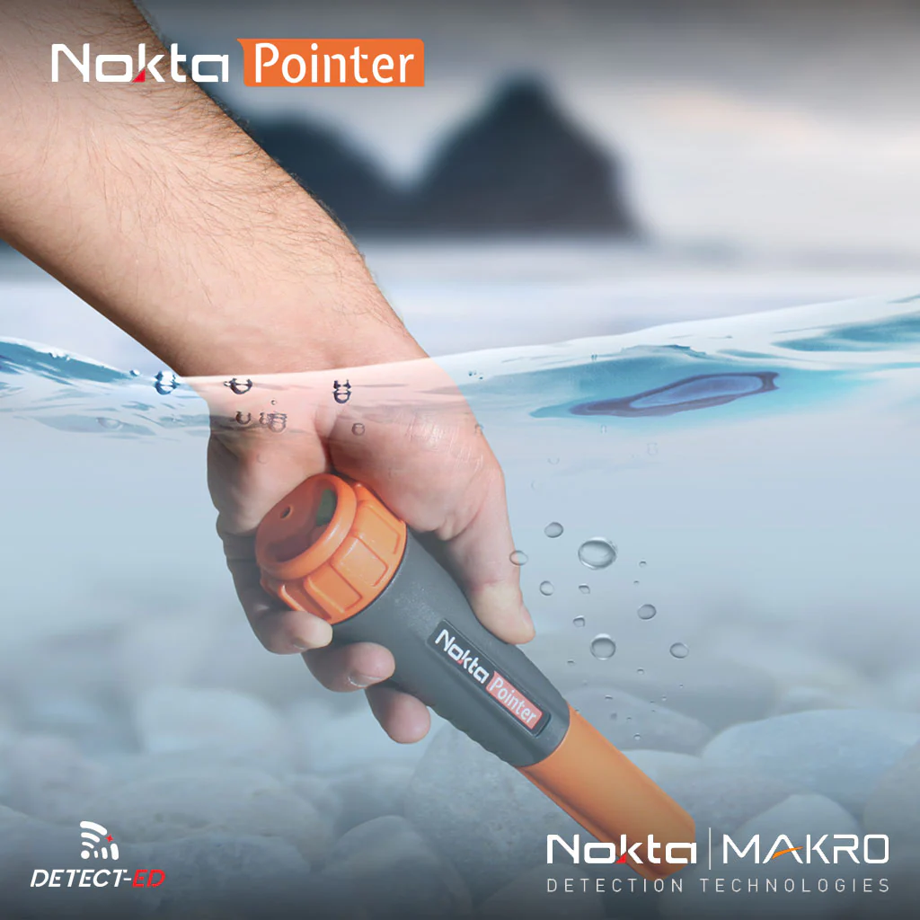 NOKTA POINTER - Image 2