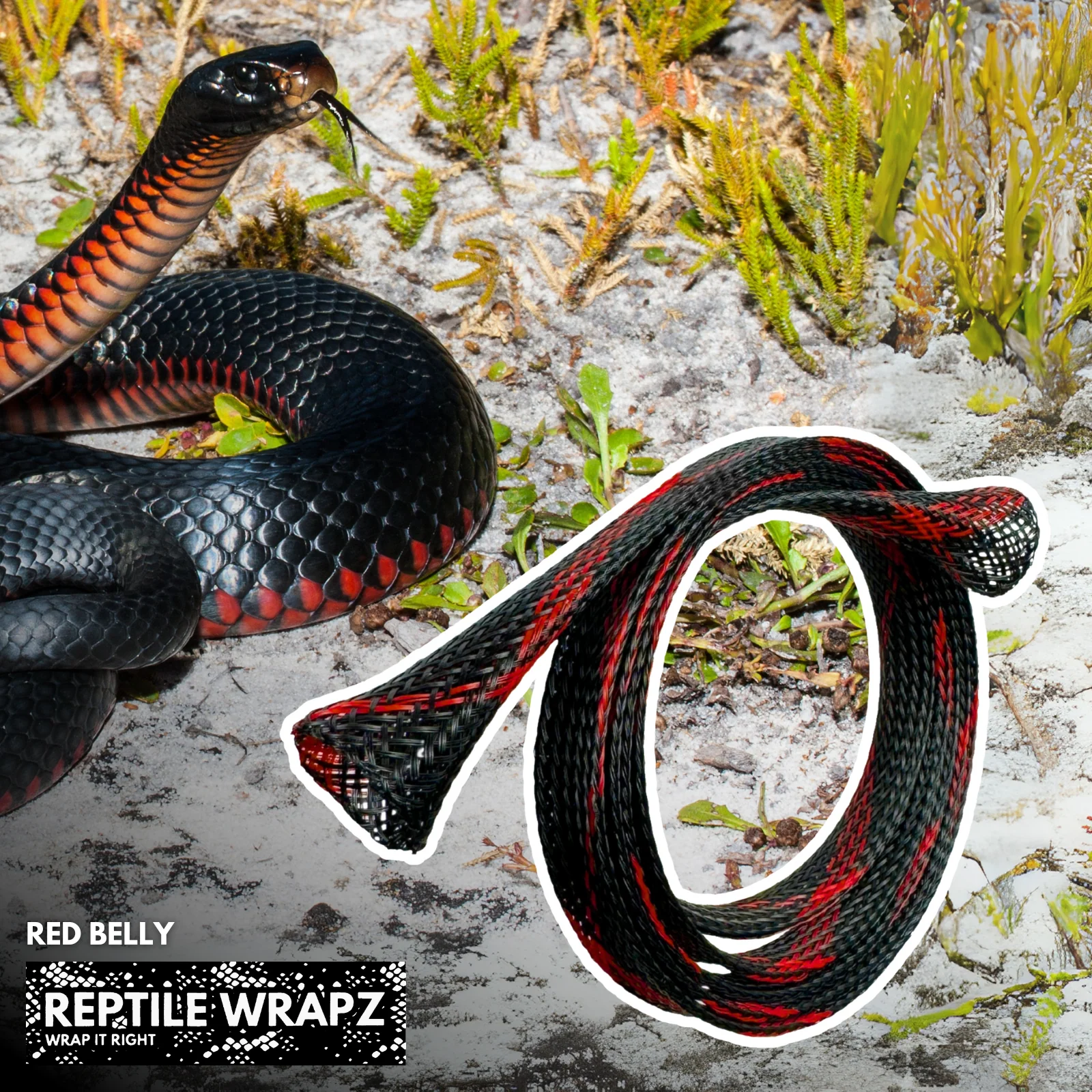 REPTILE WRAPZ DETECTOR CABLE SLEEVE - Image 12