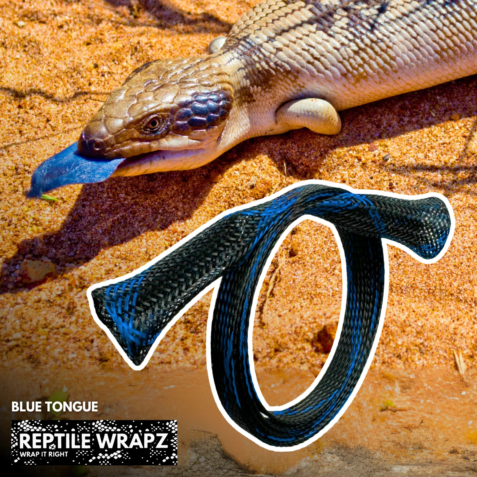 REPTILE WRAPZ DETECTOR CABLE SLEEVE - Image 14