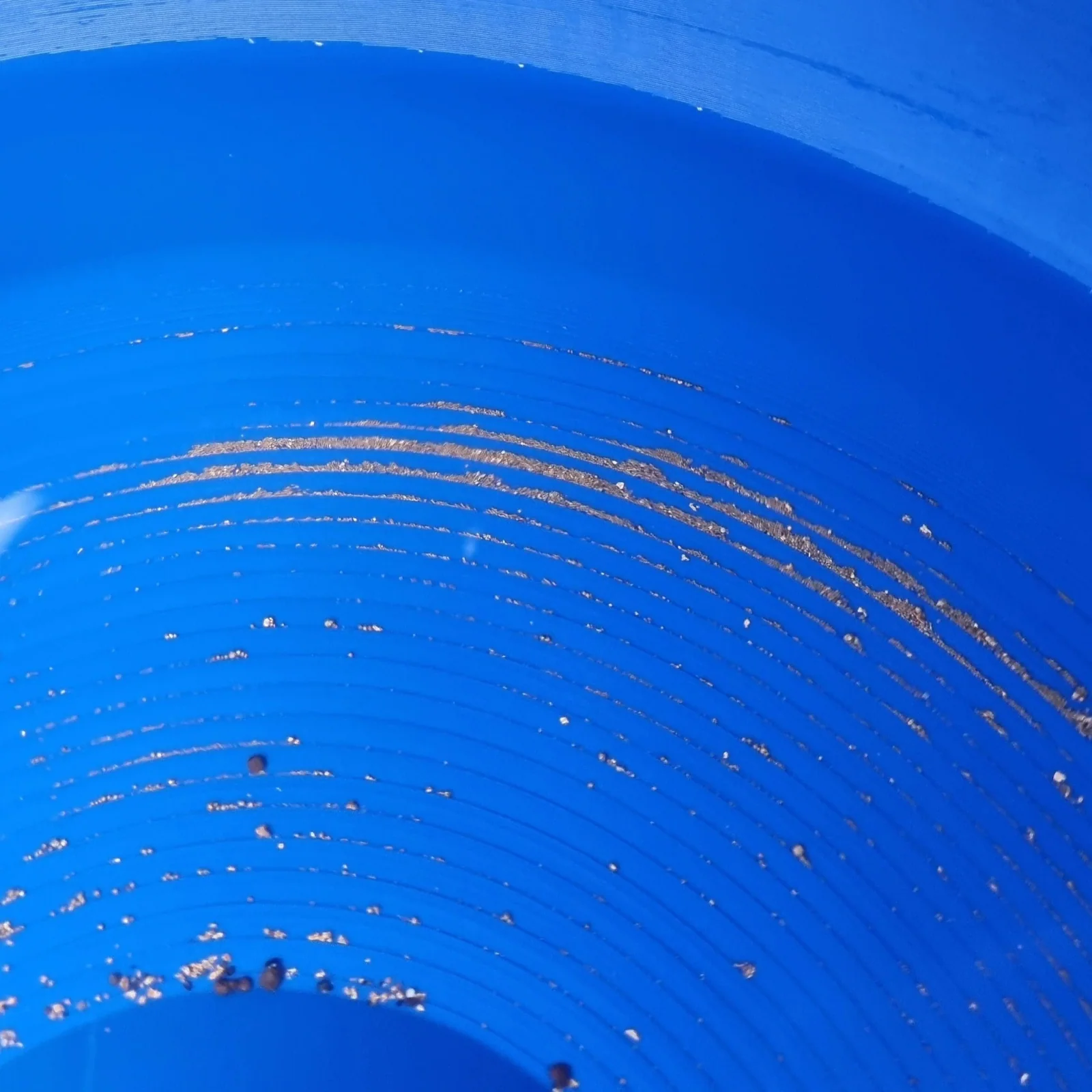 Blue Bowl VortexPro + Pump & Hose - Image 2
